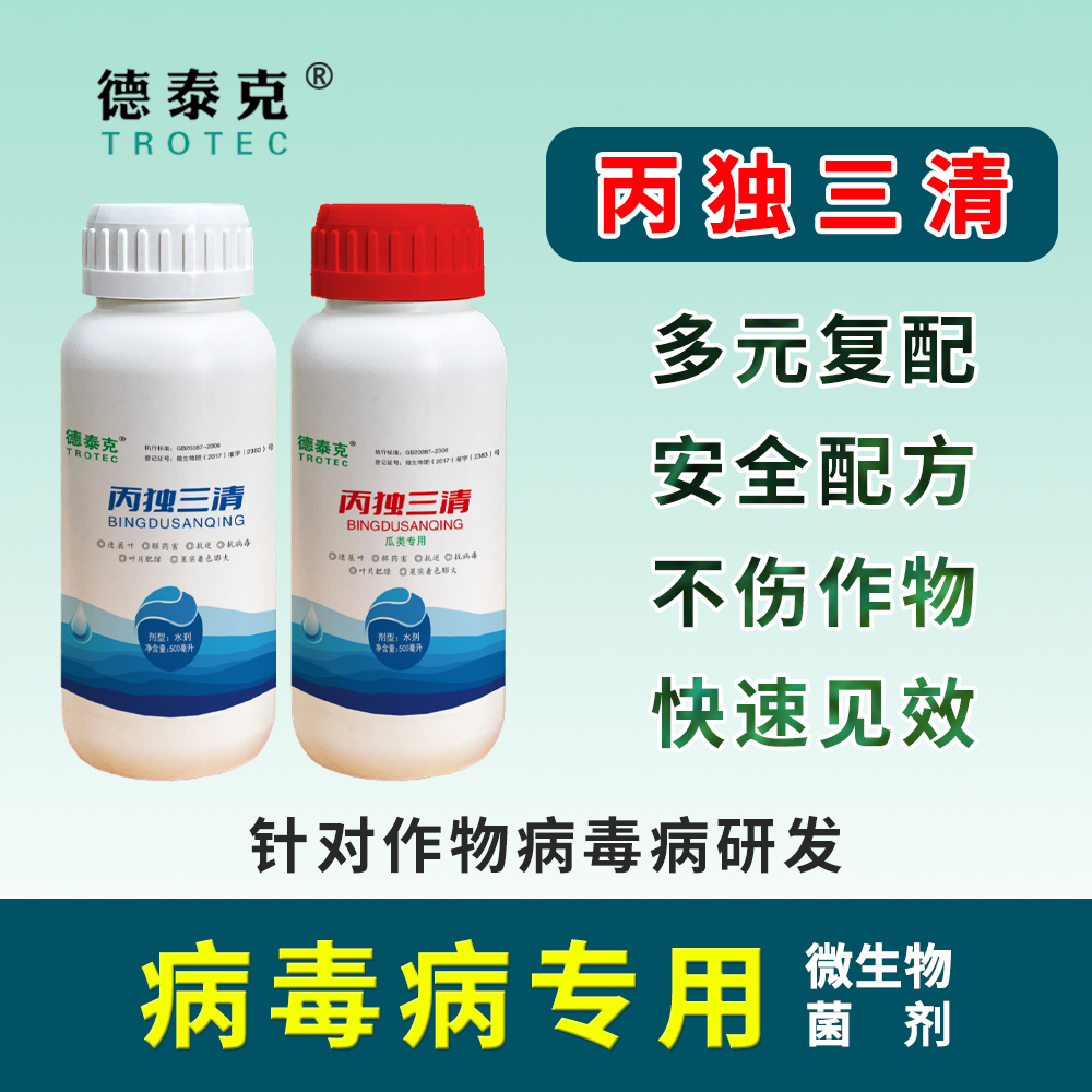 丙独三清